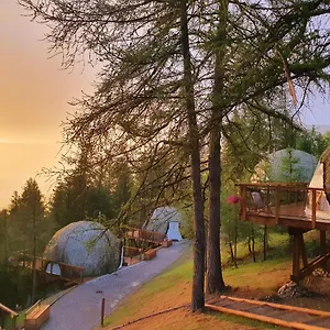 Alpin D'hôme Hotel
